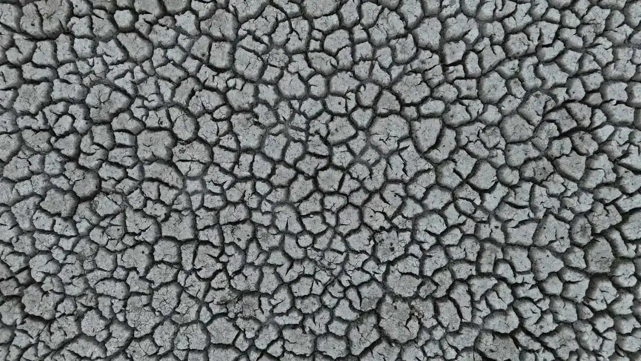 Eğirdir’de Kuraklığın Ardından Tarımsal Ürün Deseni Değişiyor! 1